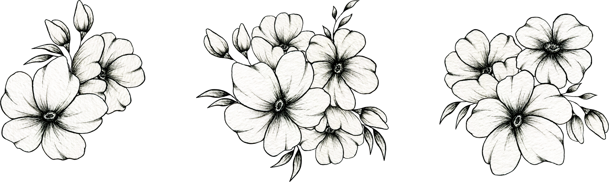 Set of Flowers Hand Drawn Illustration